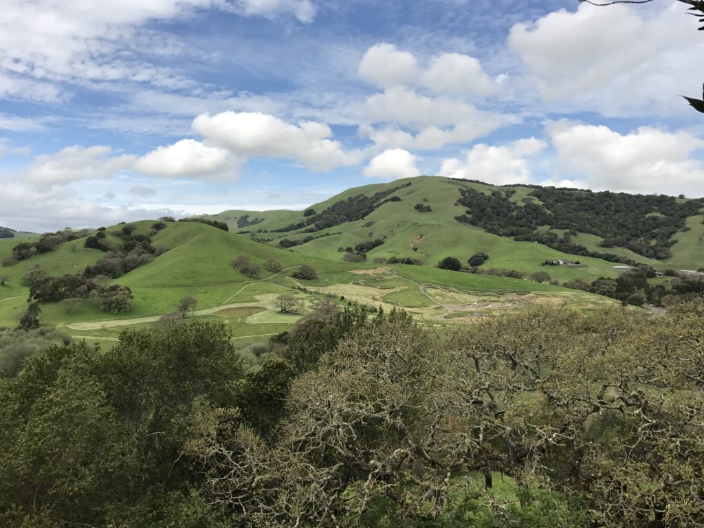 staffordlakelandscape Photography Tips and Gear Reviews!