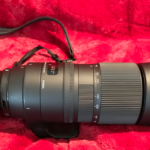 Sigma 150-600mm Lens and MC-11 Converter!